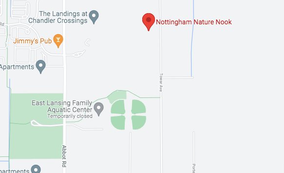 Nottingham Nature Nook releases its deer less than 1,000 yards from the East Lansing Family Aquatic Center.